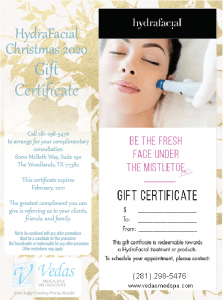 Hydrafacial gift