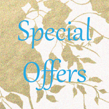 Special Offer