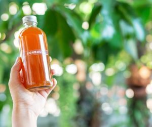 Kombucha